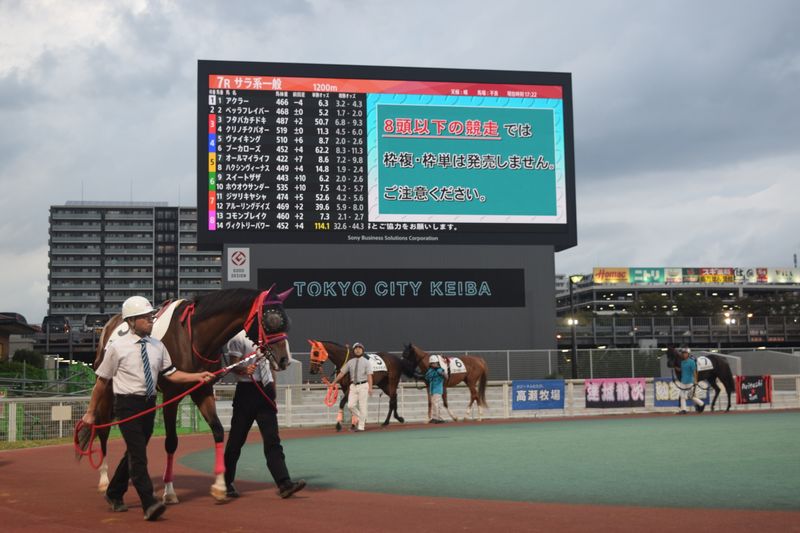 Experiencing Horse Racing at Tokyo City Keiba photo