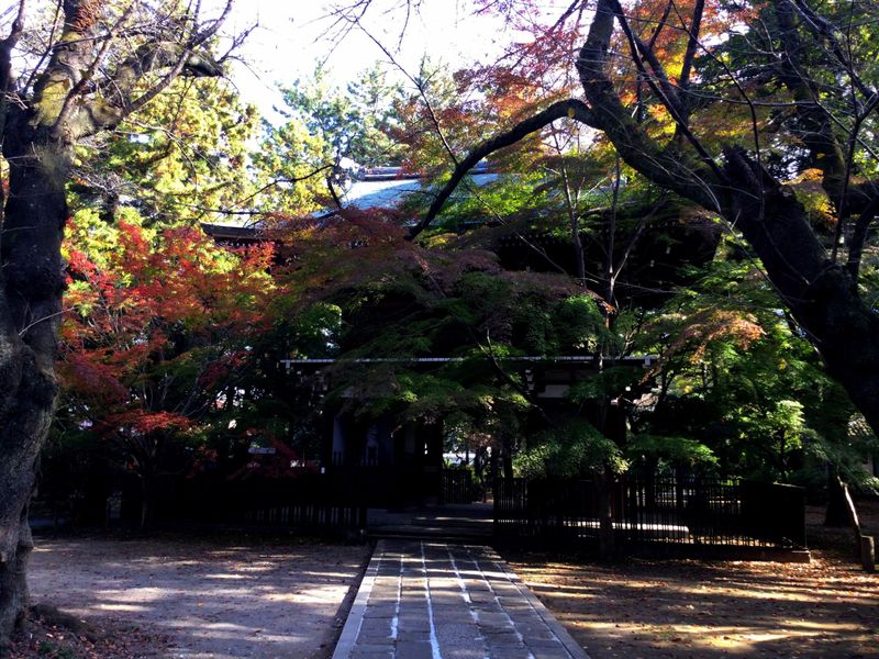 Tozenji in Matsudo City with a hint of autumn colour [SPOT REPORT] photo