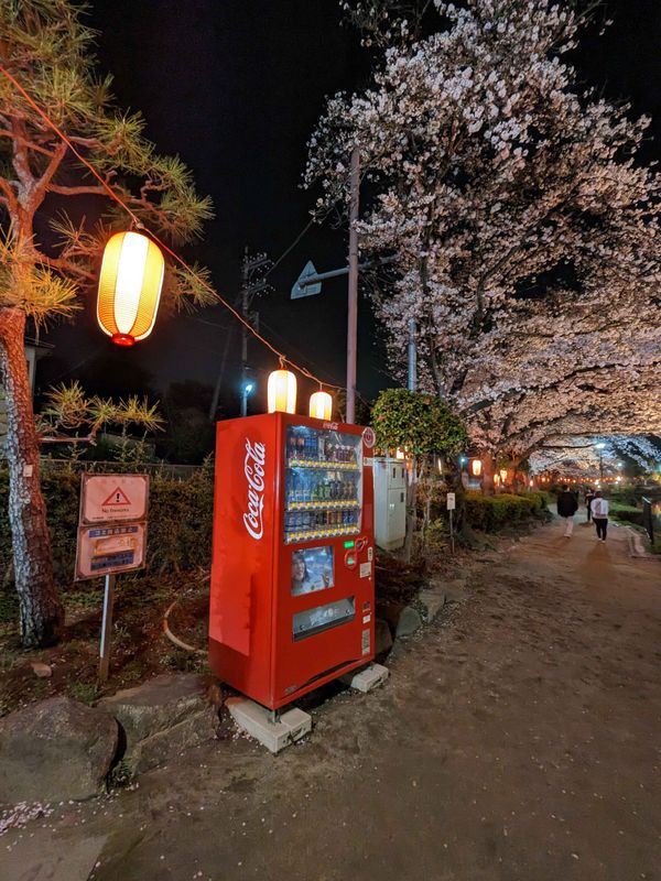 Vending Machines: an iconic symbol of Japanese convenience photo