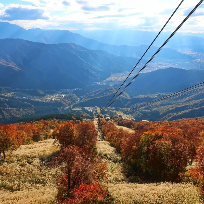 An autumn trip up Hakkaisan Ropeway [SPOT REPORT] photo