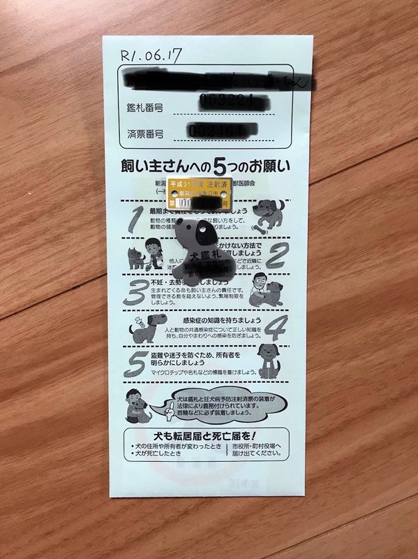 狂犬病疫苗和心丝虫药物：在日本为您的狗提供一些常规医疗技巧 photo