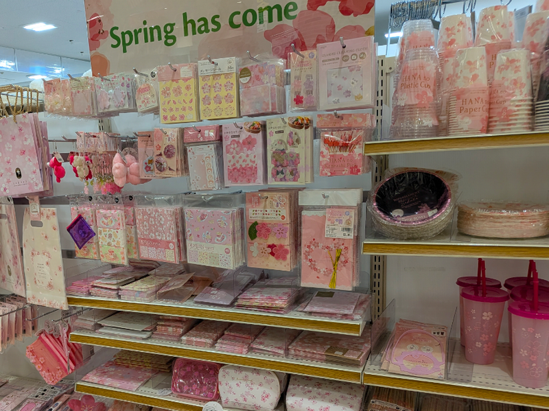 Spring has Come?!?! What? photo