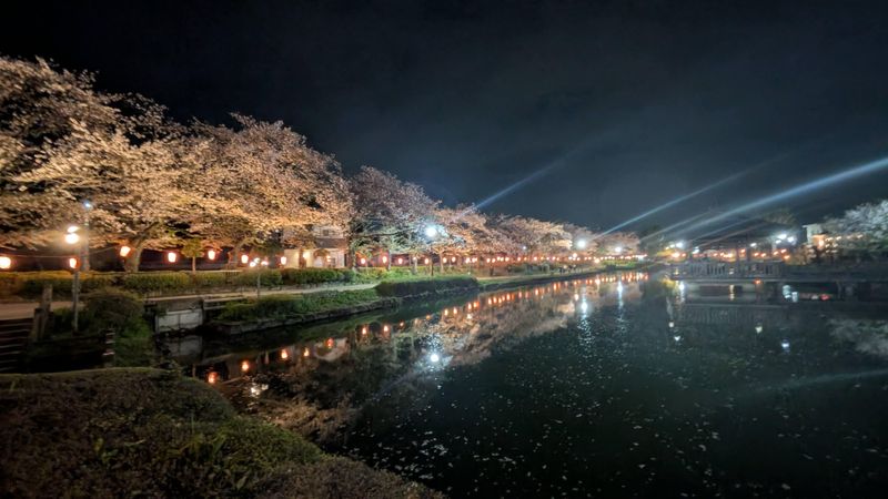 Things I didn't do early on: "yozakura" photo