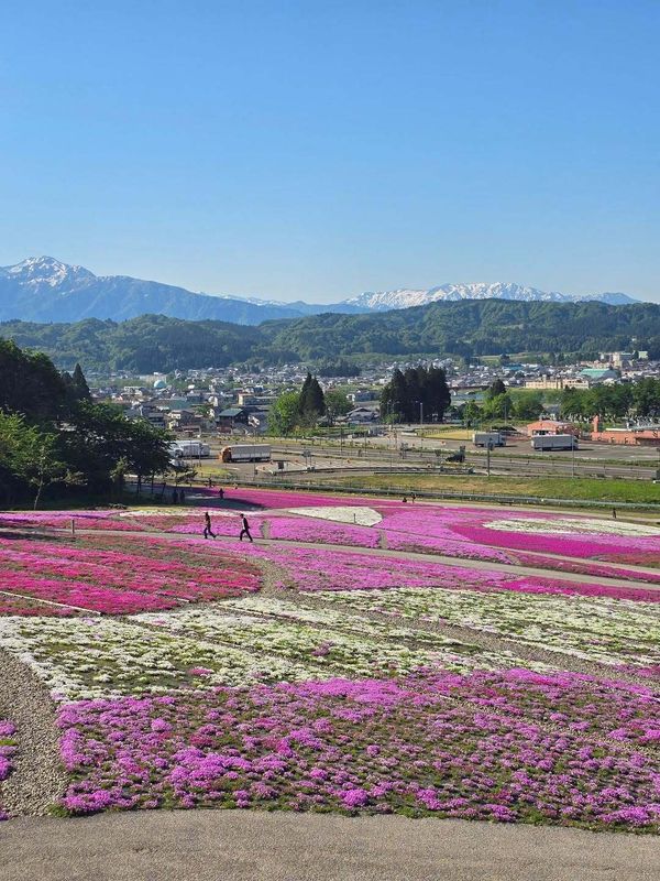 Colors of May photo
