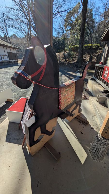 The Year of the Horse in 2026 photo