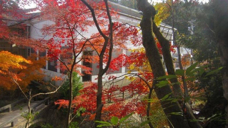 Romantic Nature of Niigata photo