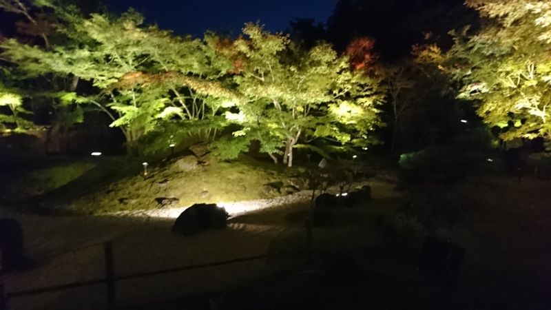 Matsushima Fall Light Up Review photo