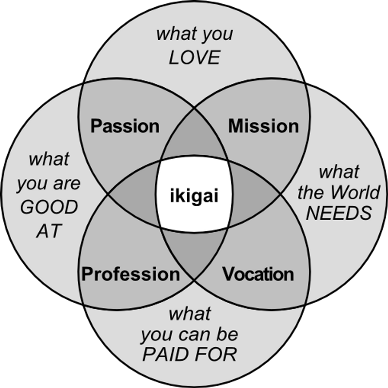 Finding my ikigai in Japan photo