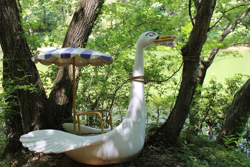 The History of Swan Boats In Japan photo