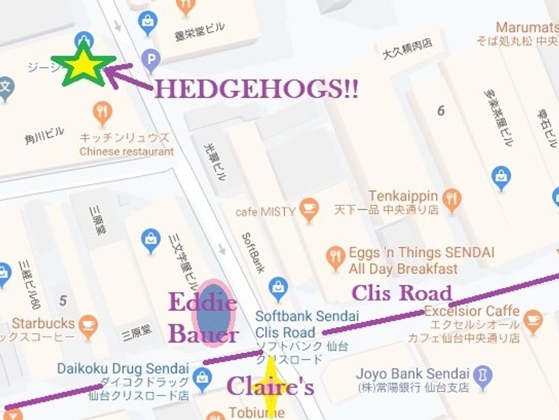 Historical Cats and Hedgehogs: A Day in Sendai photo