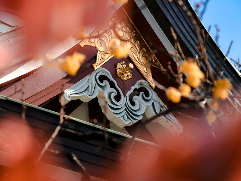 Images of Japan: February 2023 photo