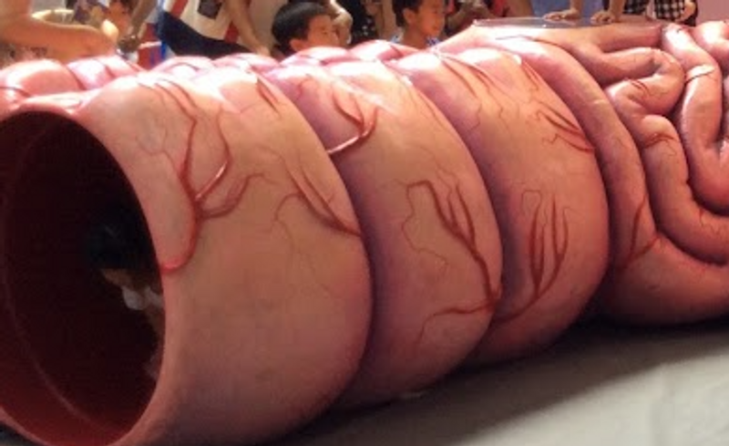 Only in Japan; a day for beautiful intestines! photo