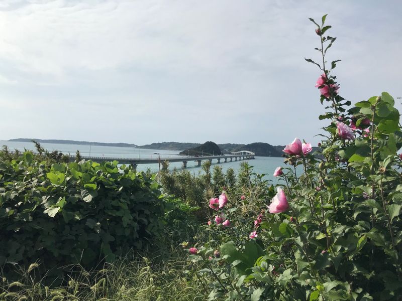 Things I didn't try early on: road trips photo