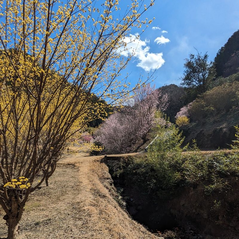 Mountain Climbing Day as we enter prime hiking season photo