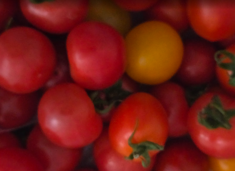 A Day for Tomato Sour in Japan photo