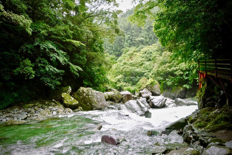 Rio Niyodo blues: o rio de Kochi sofre mesmo fora de época photo