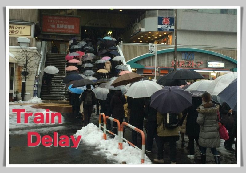 Salaryman (in Japan) - Delays On The Train photo