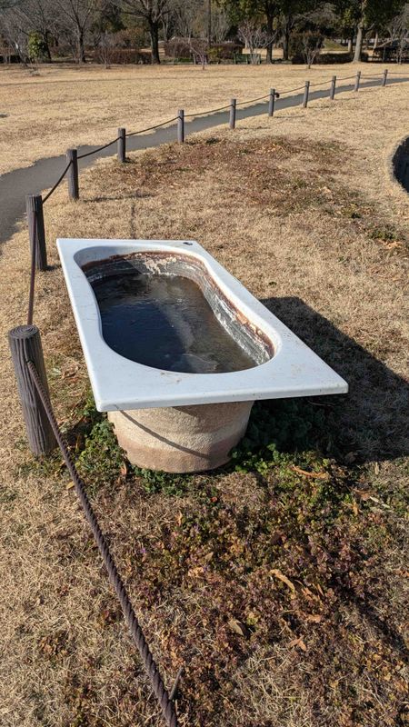 Random bath, on bath day! photo