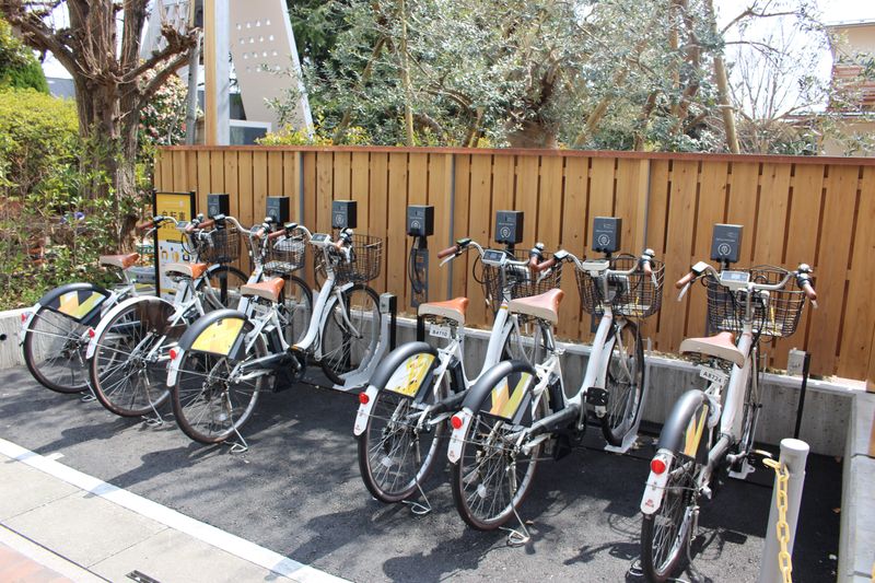 How will the new rules effect share cycling? photo