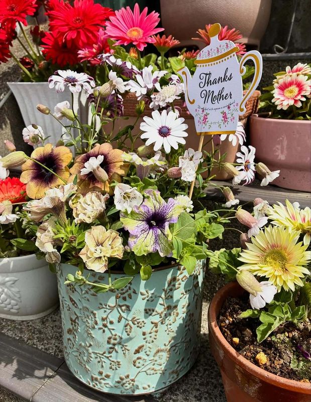 Mother's Day in Japan dominated by flowers as gifts photo