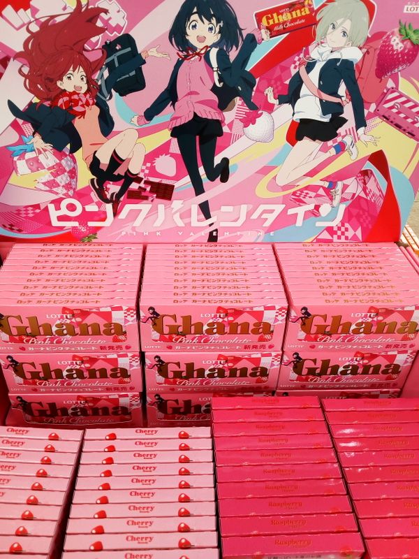Pink Chocolate Season photo