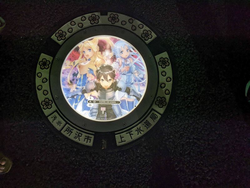 Tokorozawa, a great city for manhole covers photo