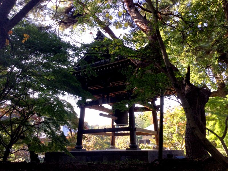 Tozenji in Matsudo City with a hint of autumn colour [SPOT REPORT] photo