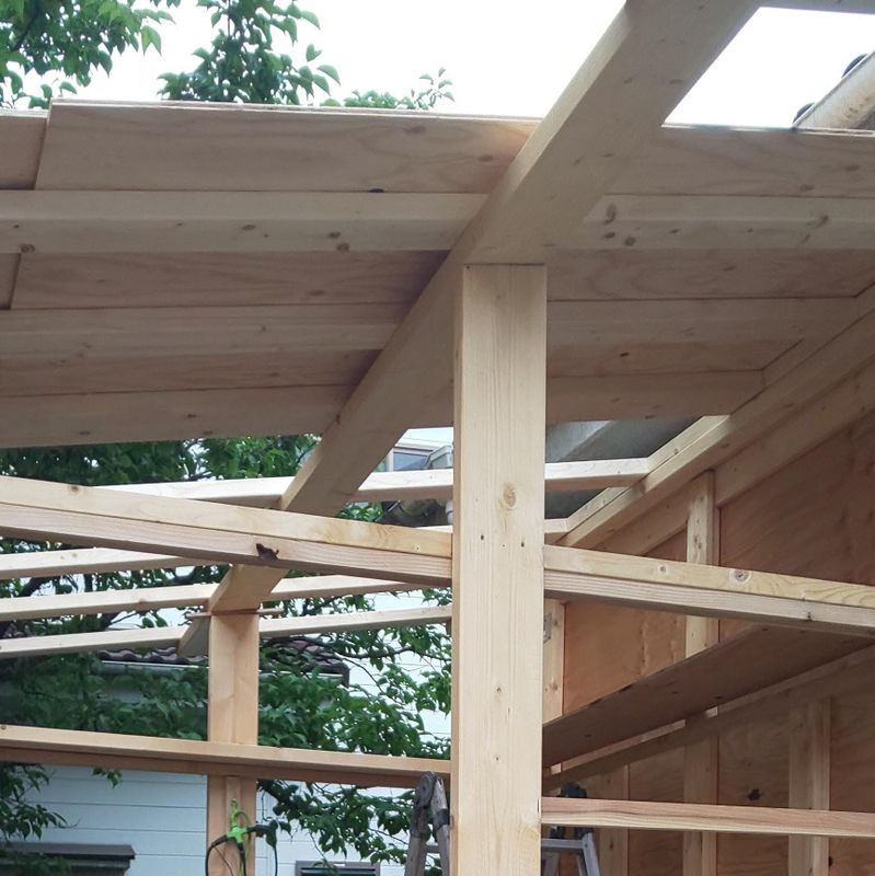 A day for carpenters photo