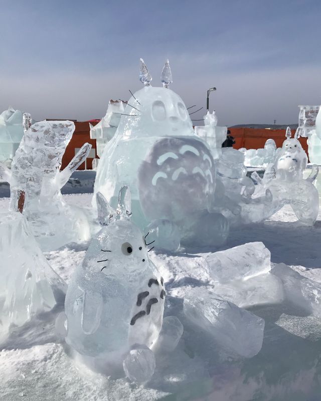 Most surprisingly good location in Japan: Monbetsu photo