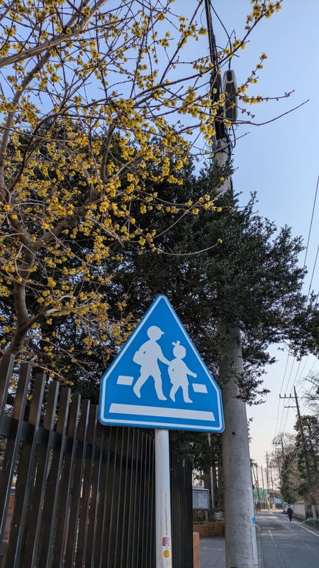 Squid's osushi, protecting children in Japan! photo