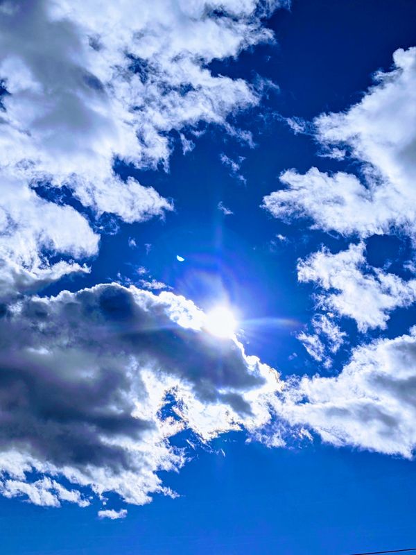 'Thee' day to have a 'Nice Day' photo