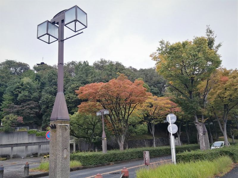 Explore Inagi City in Autumn! [SPOT REPORT] photo