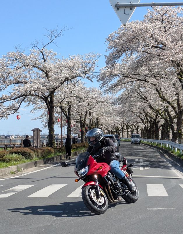Bike, as in motorbike, day photo