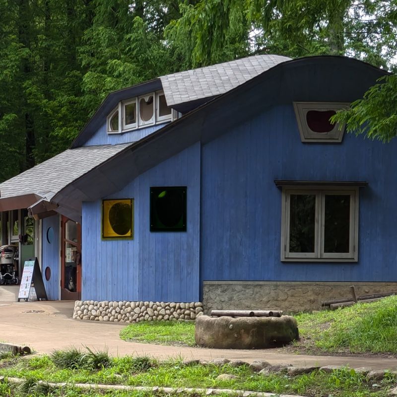 Good color paint day  photo