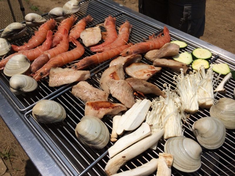 Summer BBQ at Kasai Rinkai Koen - meat, veg and human getting grilled photo