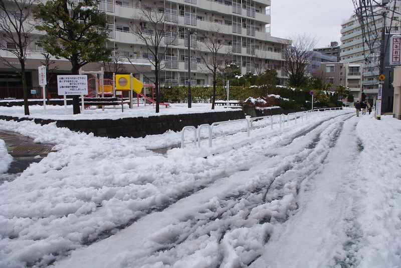 How to deal with snow in Japan when you're not used to snow photo