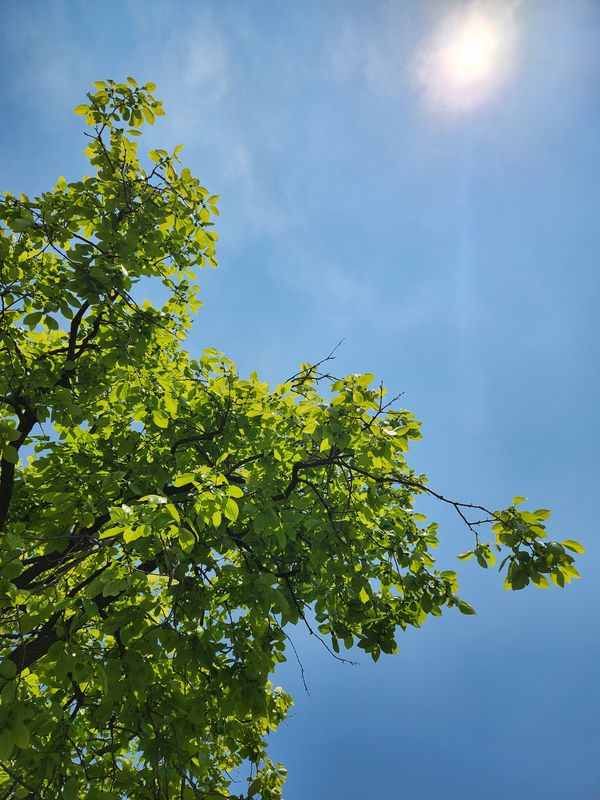 Free A/C pushing workers to return to offices this summer photo