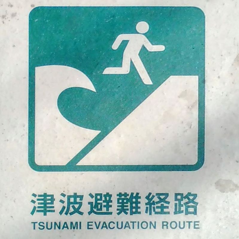 World tsunami awareness day  photo