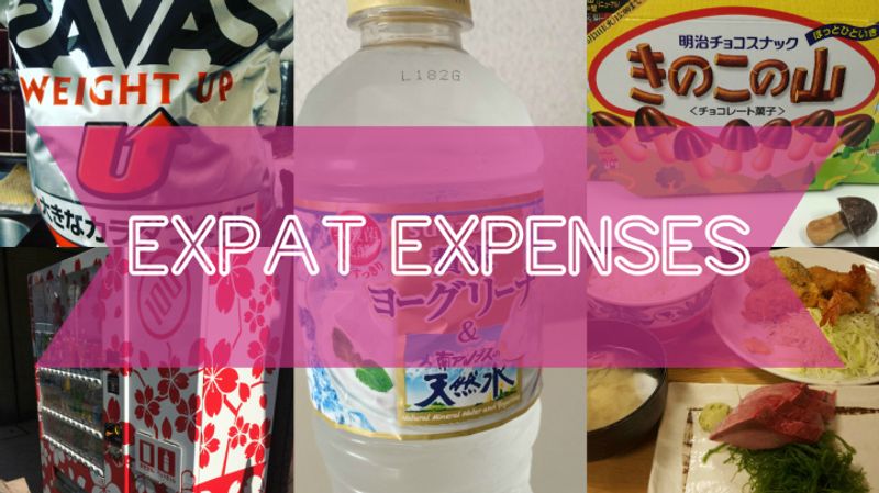 How Much?! Weekly Expense in Japan (March 19 - 25) photo