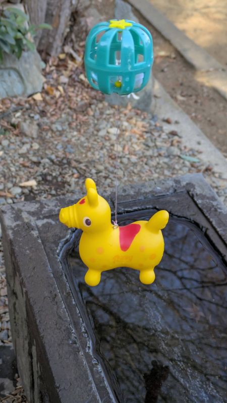 Fun representation for the year of the horse photo