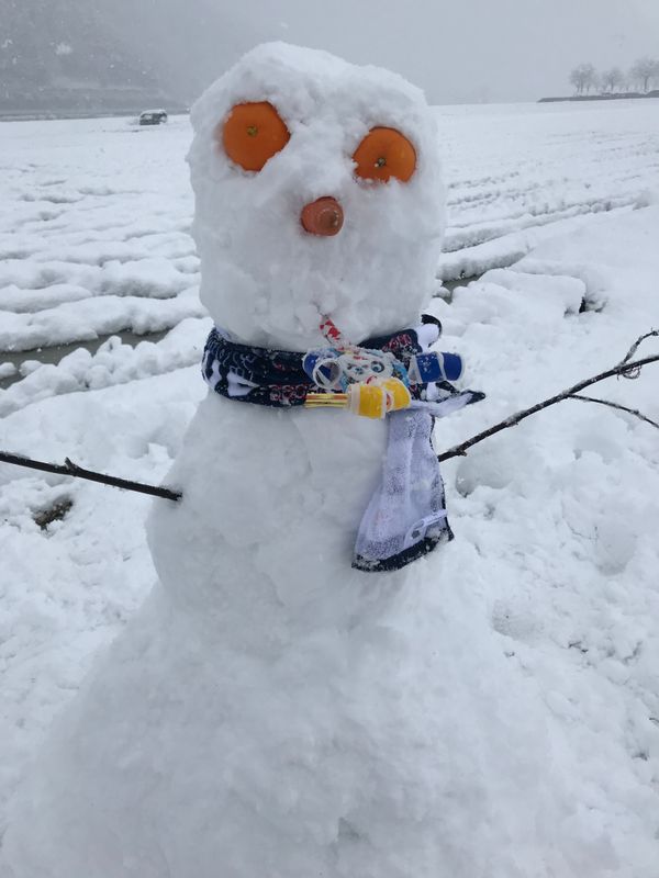The snowman with mikan eyes  photo