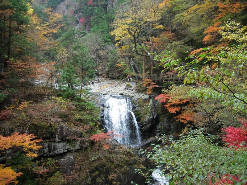 関西の秋の葉を見るのに最適な場所、どのくらいの費用がかかりますか photo