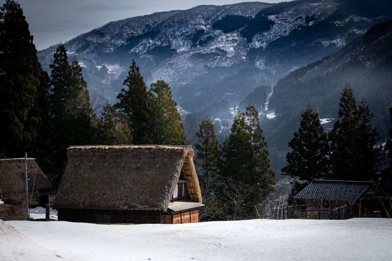 Images of Japan: March 2023 photo