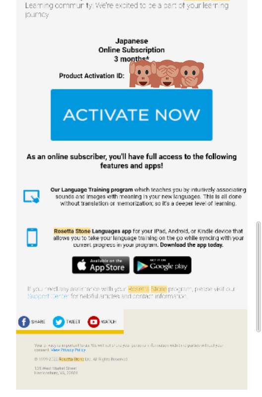 Rosetta Stone App: Not for Intermediates, Only Beginners photo