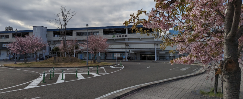 Honshiogama Station Sakura: What A Difference 4 Days Make [SPOT REPORT] photo