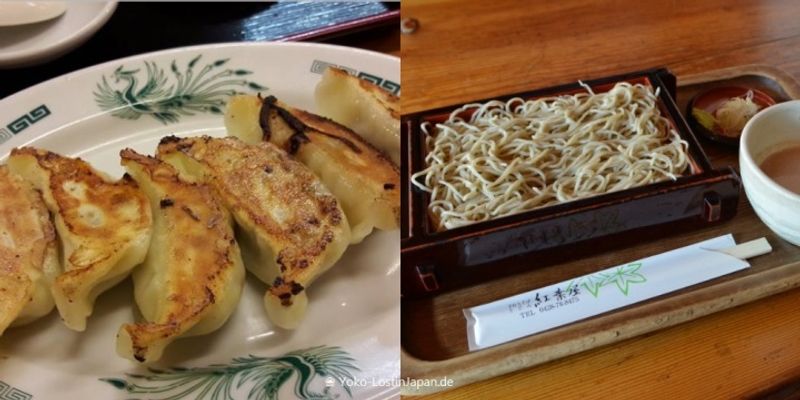 TOP 10 Japanese dishes as a non-seafood-eater 
 photo
