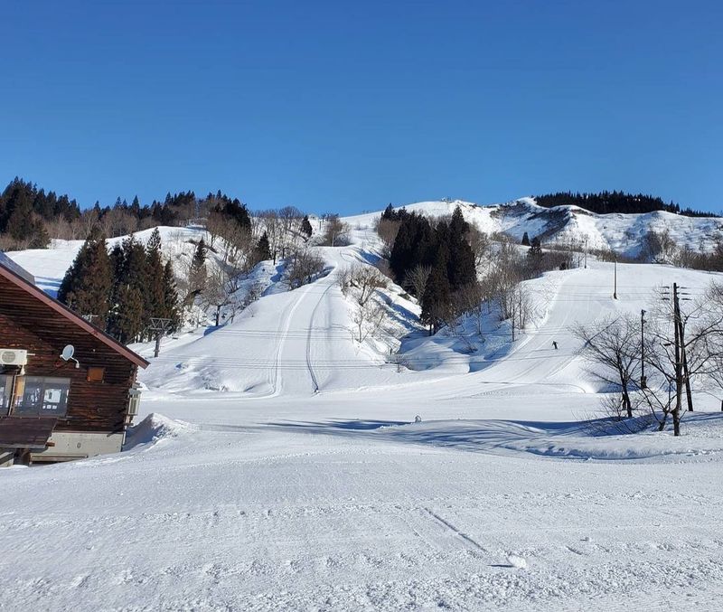 How to ski safely in Japan photo