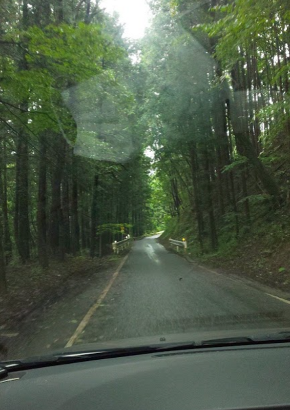 Changing landscapes; the joys of road tripping in Japan photo