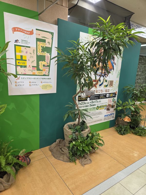 Amazon Exhibition At Maruhiro Kawagoe photo
