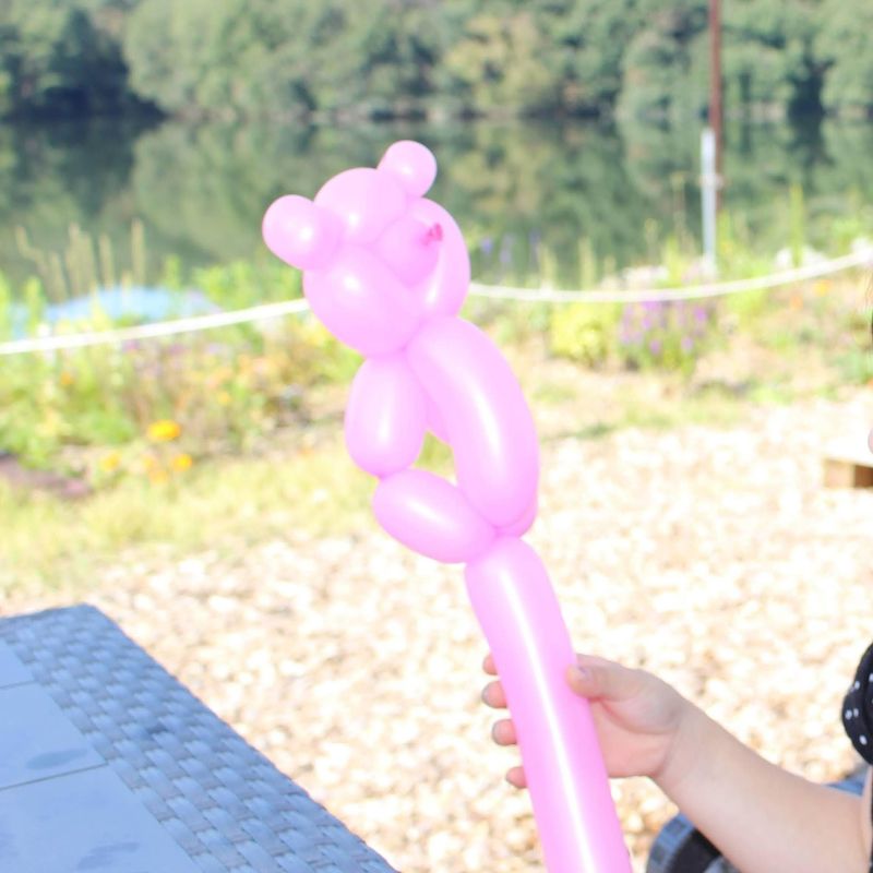 Balloon Art Day photo